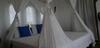 Al Faro Cosmio Hotel Palawan