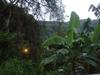 Hostal Whiteflowerhomestayella