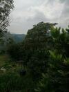 Hostal Whiteflowerhomestayella