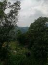 Hostal Whiteflowerhomestayella