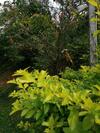 Hostal Whiteflowerhomestayella