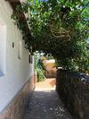 Apartamento Casa Palmera Y Casa D�til