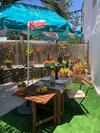 Apartamento Casa Palmera Y Casa D�til