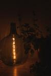 Apartamento Casa Rural Castellanos