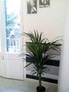 Central Apartment For 5-6 People