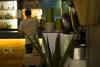Albergue Yamba Yha Backpacker Beach Resort