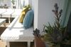 Hostal La Pluma