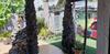Villa Cateyma Icod
