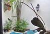 Apartamento Aptos Monasterio De San Antonio 7