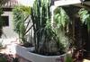 Apartamento Aptos Monasterio De San Antonio 3