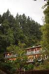 Forest Edge Hotel