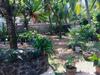 Bed & Breakfast Room One Dadalla