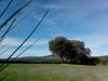 Agroturismo Casa Vixide