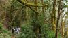 Apartamento Estudio Rural - Nature & Relax