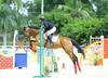 Kings Farm Horse Riding School