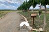 Summer House Tgn Rural