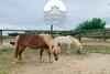 Summer House Tgn Rural