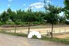 Summer House Tgn Rural