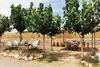 Summer House Tgn Rural