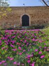 Bed & Breakfast Finca Las Rosas de Santa Ana
