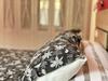 Apartamento Housingleon- Barrio H�medo (Plaza Del Grano)
