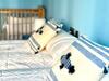 Apartamento Housingle�n - Centro Con Dos Plazas De Garaje