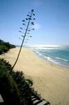 Casa "la Bre�a". Surf,sol Y Relax.