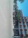 Apartamento Primer�sima Linea de Playa de Gandia Vt-45633-v