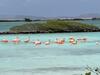 Apartamento Oceanfront Condo With Pool,breathtaking View, Wifi