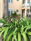 Apartamento Oceanfront Condo With Pool,breathtaking View, Wifi