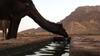 Bedouin Traditions Camp