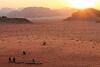 Wadi Rum Protected Area Camp