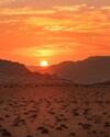 Hotel Bedouin Future Camp