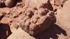 Wadirum Sand Camp