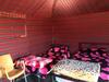 Desert Mars Camp & Tours