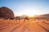 Discover The Life Of Wadi Rum