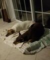 Bed & Breakfast Cosy Lakeview Cottage #1