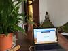 Hostal Stardust House Vegueta