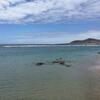 Sweet Apartment Las Canteras