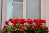 Apartamento The Blue House Las Canteras