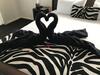 Hostal Zebras Guest House Geraldton