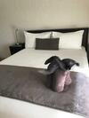 Hostal Zebras Guest House Geraldton