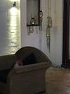 Hostal Zebras Guest House Geraldton