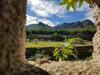 Apartamento Teno Mountains&bananas Garden House