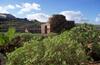 Apartamento Teno Mountains&bananas Garden House