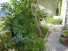 Villa Catarina � Xuresvillas