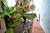Agroturismo Finca Luc�a