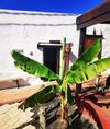Agroturismo Finca Luc�a