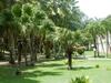 Apartamento R�sidence Anse Des Rochers