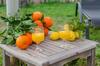 Yourhouse Deulosal, Agrotourism With Private Pool